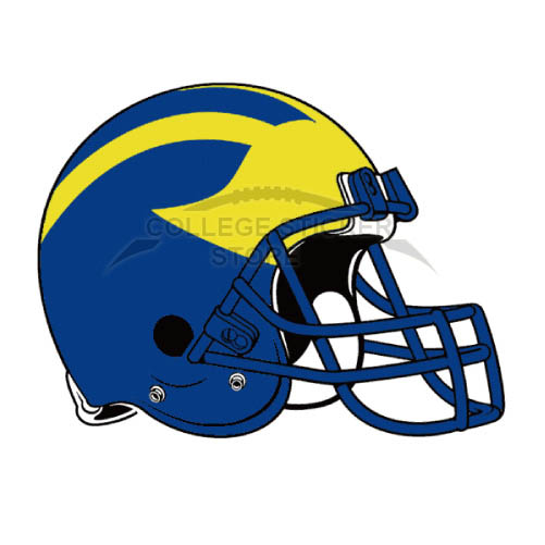 Customs Delaware Blue Hens Iron-on Transfers (Wall Stickers)NO.4243